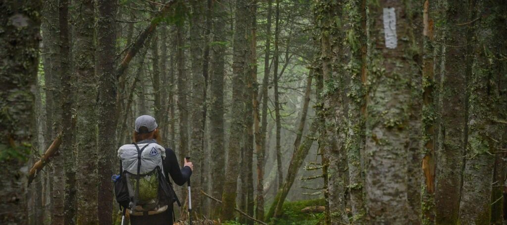 Loaded backpack carried through wet forest during an evacuation on foot