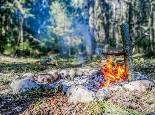 Fire burning inside a ring of stones on a forest floor